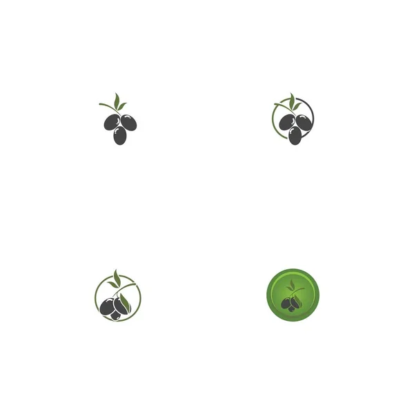 Olive Symbol Vektor Illustration Design Vorlage — Stockvektor