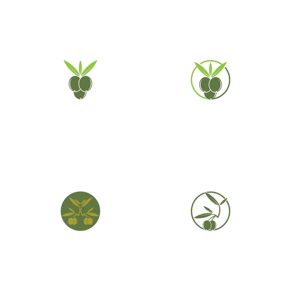 Olive Symbol Vektor Illustration Design Vorlage — Stockvektor