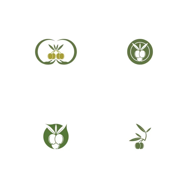 Modèle Conception Illustration Vectorielle Icône Olive — Image vectorielle