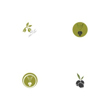 zeytin ikonu vektör çizim şablonu