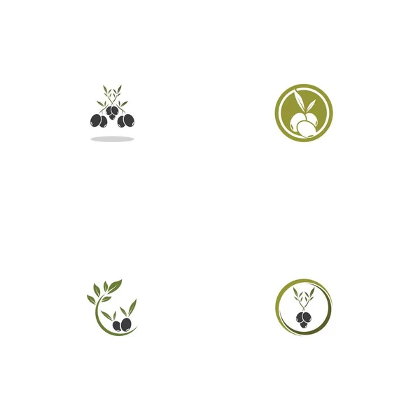 Olive Symbol Vektor Illustration Design Vorlage — Stockvektor