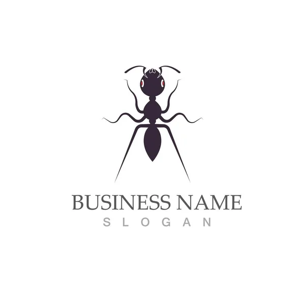 Ant Logo Modello Vettoriale Illustrazione Design — Vettoriale Stock