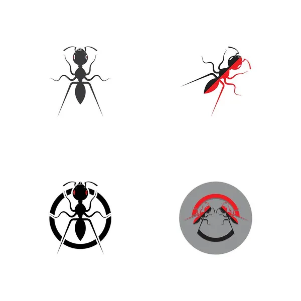 Ant Logo Modèle Vectoriel Illustration Design — Image vectorielle