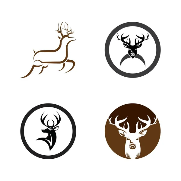 Diseño Ilustración Icono Vector Plantilla Logo Ciervo — Vector de stock