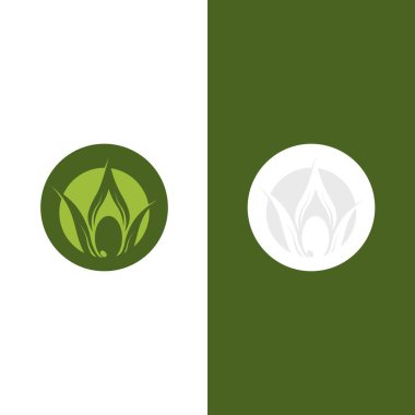 zeytin ikonu vektör çizim şablonu