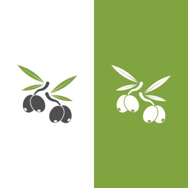 zeytin ikonu vektör çizim şablonu