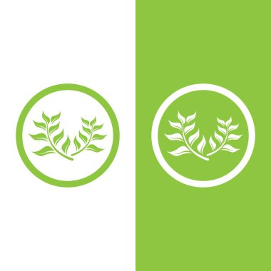 Yeşil ağaç yaprağı ekoloji doğa elementi vektörü logoları