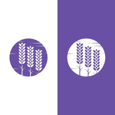 Taze lavanta çiçeği logo vektörü düz tasarım