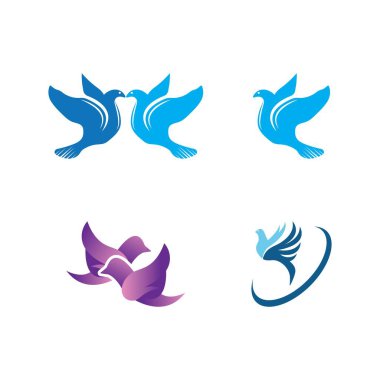 Dove bird logo vector design illustration