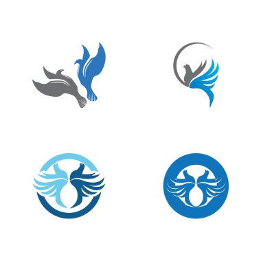 Dove bird logo vector design illustration