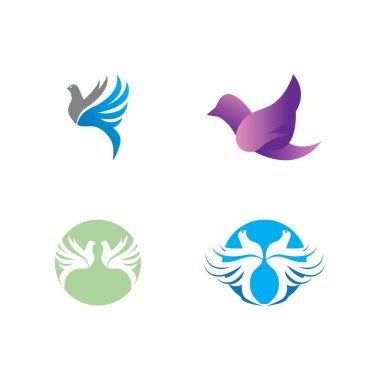 Dove bird logo vector design illustration