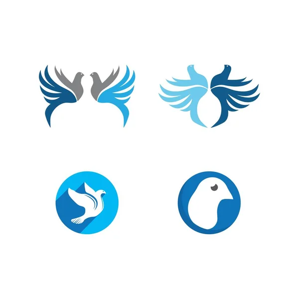 Dove Bird Logo Vector Design Illustration — стоковый вектор