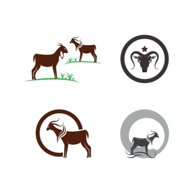 Keçi Logosu Şablon vektör illüstrasyon tasarımı