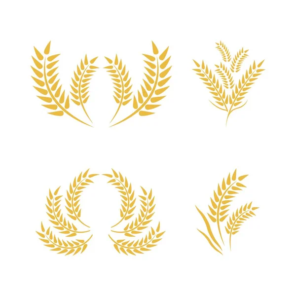 Logotipo Trigo Vector Icono Ilustración Diseño — Vector de stock