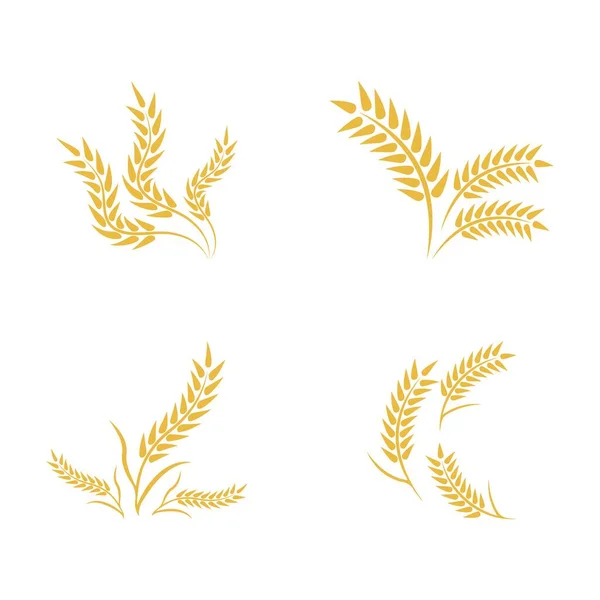Wheat Logo Vector Icon Illustration Design — Stock Vector