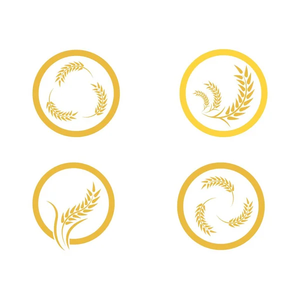 小麦のロゴベクトルアイコンイラストデザイン — ストックベクタ