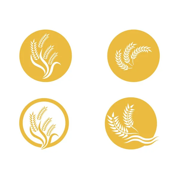 Wheat Logo Vector Icon Illustration Design — Stock Vector