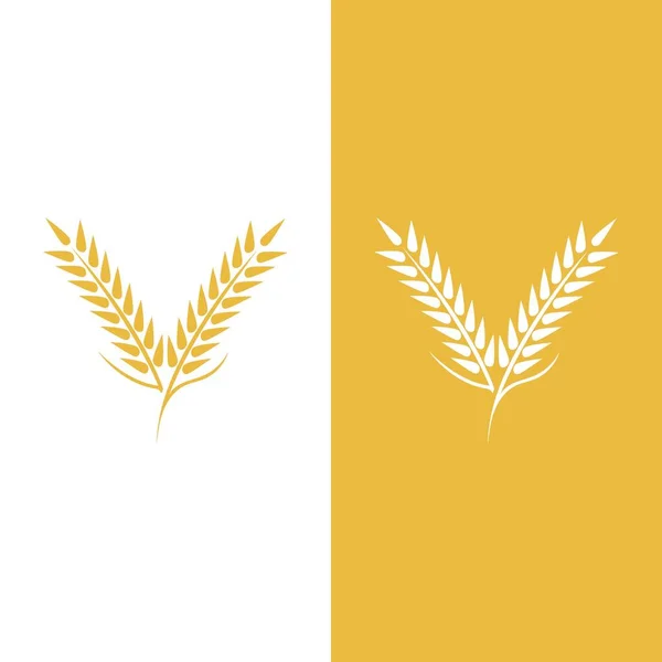 Buğday logosu vektör illüstrasyon tasarımı
