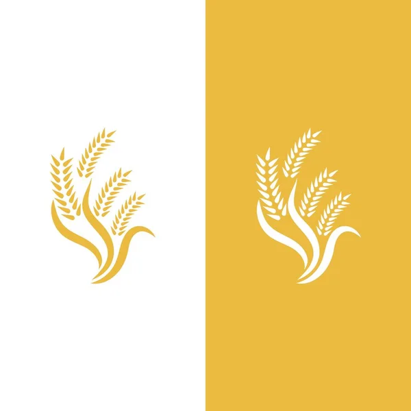 Wheat Logo Vector Icon Illustration Design — Stock Vector