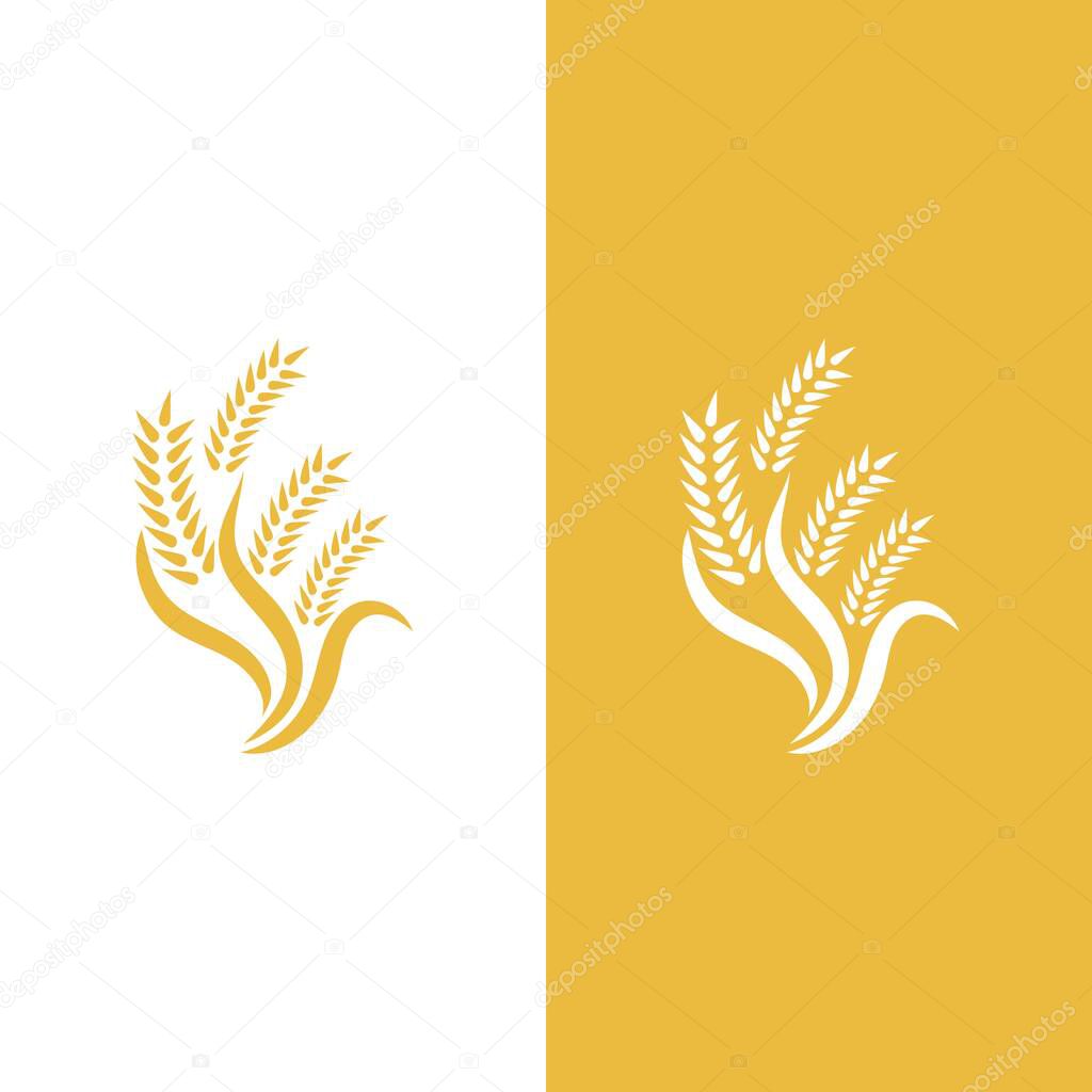 Wheat logo vector icon illustration design