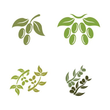 zeytin ikonu vektör çizim şablonu