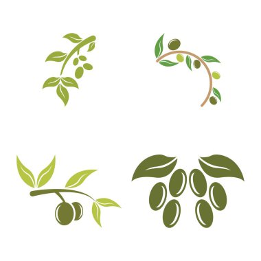 zeytin ikonu vektör çizim şablonu