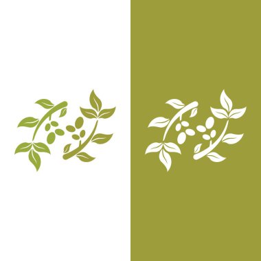 zeytin ikonu vektör çizim şablonu