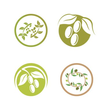 zeytin ikonu vektör çizim şablonu