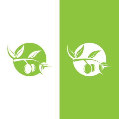 zeytin ikonu vektör çizim şablonu