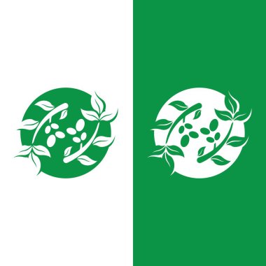 zeytin ikonu vektör çizim şablonu