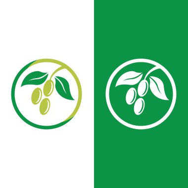 zeytin ikonu vektör çizim şablonu