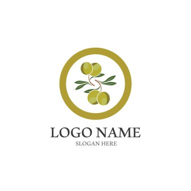 zeytin ikonu vektör çizim şablonu