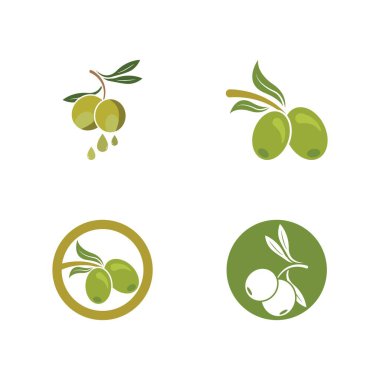 zeytin ikonu vektör çizim şablonu