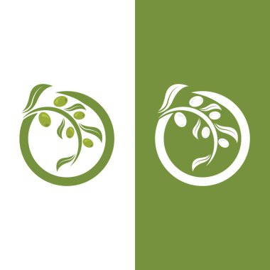 zeytin ikonu vektör çizim şablonu