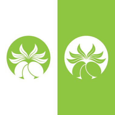 zeytin ikonu vektör çizim şablonu