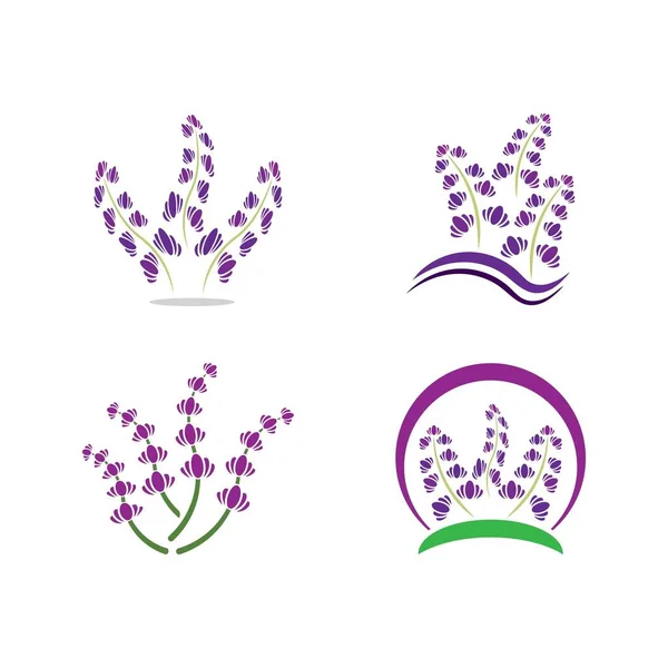 Lavanda Fresca Flor Logotipo Vetor Design Plano — Vetor de Stock