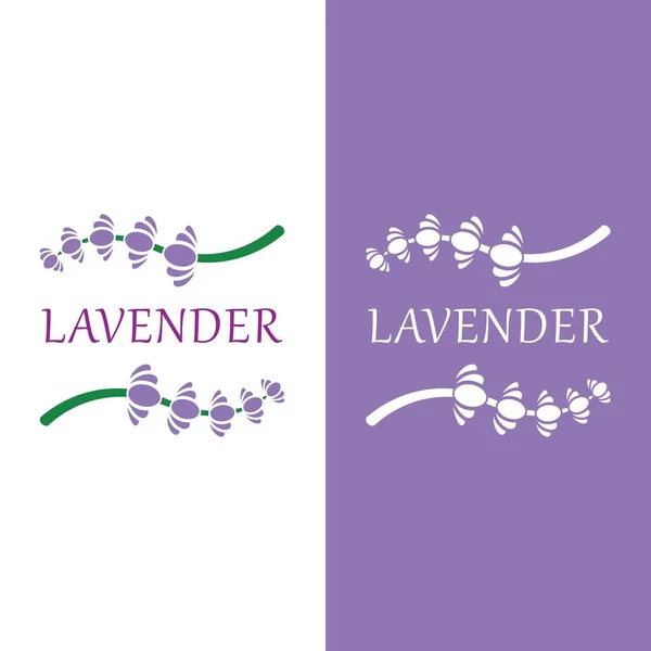 Lavanda Fresca Fiore Logo Vettore Design Piatto — Vettoriale Stock