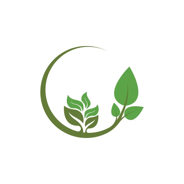 Logo Van Groene Boomblad Ecologie Natuur Element Vector — Stockvector