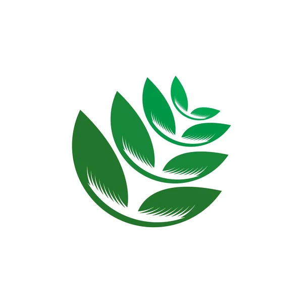 Logo Van Groene Boomblad Ecologie Natuur Element Vector — Stockvector