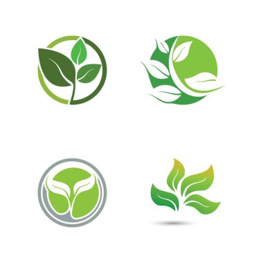 Yeşil ağaç yaprağı ekoloji doğa elementi vektörü logoları