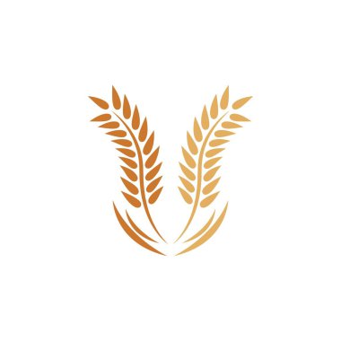 Buğday logosu vektör illüstrasyon tasarımı