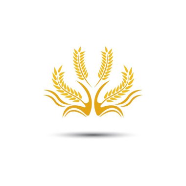 Buğday logosu vektör illüstrasyon tasarımı
