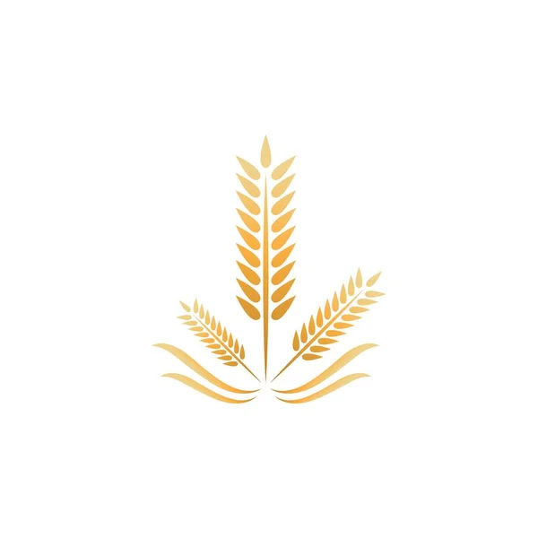 Logo Pszenicy Wektor Ikona Ilustracja Projekt — Wektor stockowy