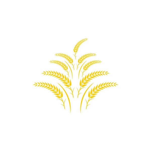 Návrh Vektorové Ikony Loga Pšenice — Stockový vektor