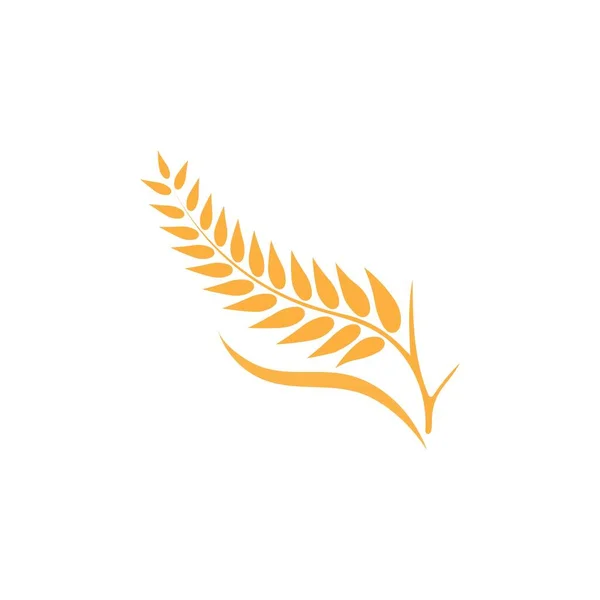 Дизайн Векторной Иконки Пшеницы — стоковый вектор