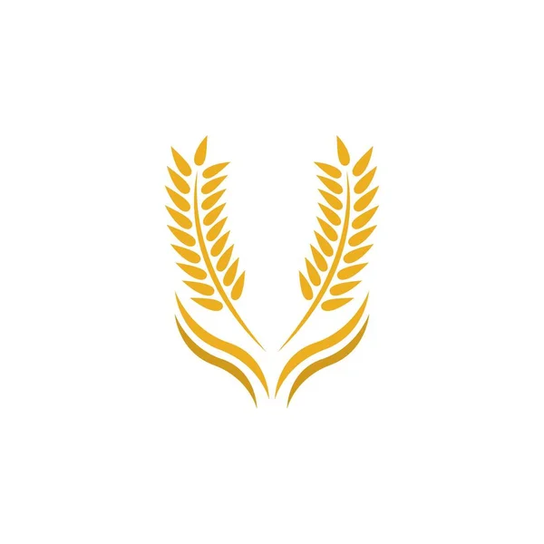 Wheat Logo Vector Icon Illustration Design — Stock Vector