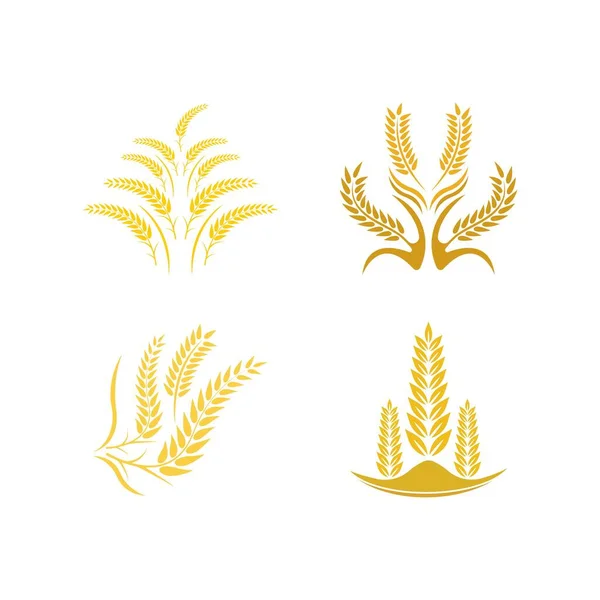 Wheat Logo Vector Icon Illustration Design — Stock Vector