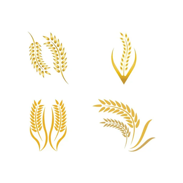 Wheat Logo Vector Icon Illustration Design — Stock Vector