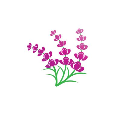 Taze lavanta çiçeği logo vektörü düz tasarım