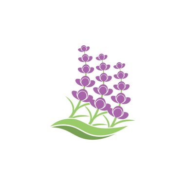 Taze lavanta çiçeği logo vektörü düz tasarım